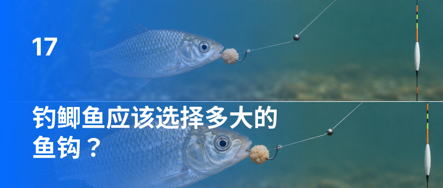 钓鲫鱼应该选择多大的鱼钩？