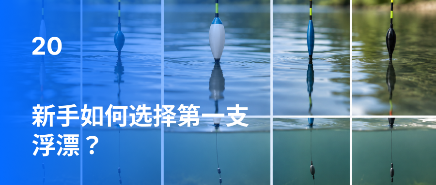 新手如何选择第一支浮漂？
