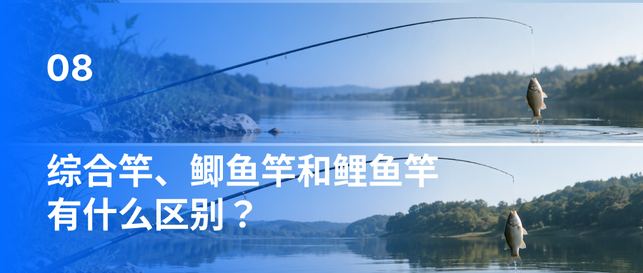 综合竿、鲫鱼竿和鲤鱼竿有什么区别？