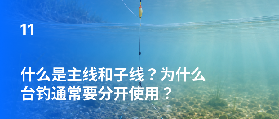什么是主线和子线？为什么台钓通常要分开使用？